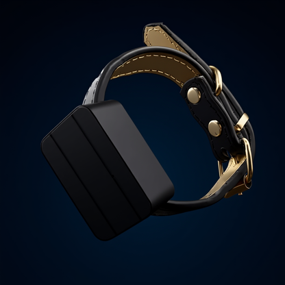 2G Mini GPS Tracker for Pets – Anti-Lost Locator