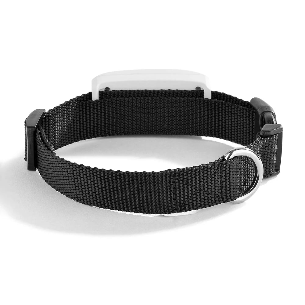 Mini Dog &amp; Cat GPS Locator – Free App, Waterproof Design 