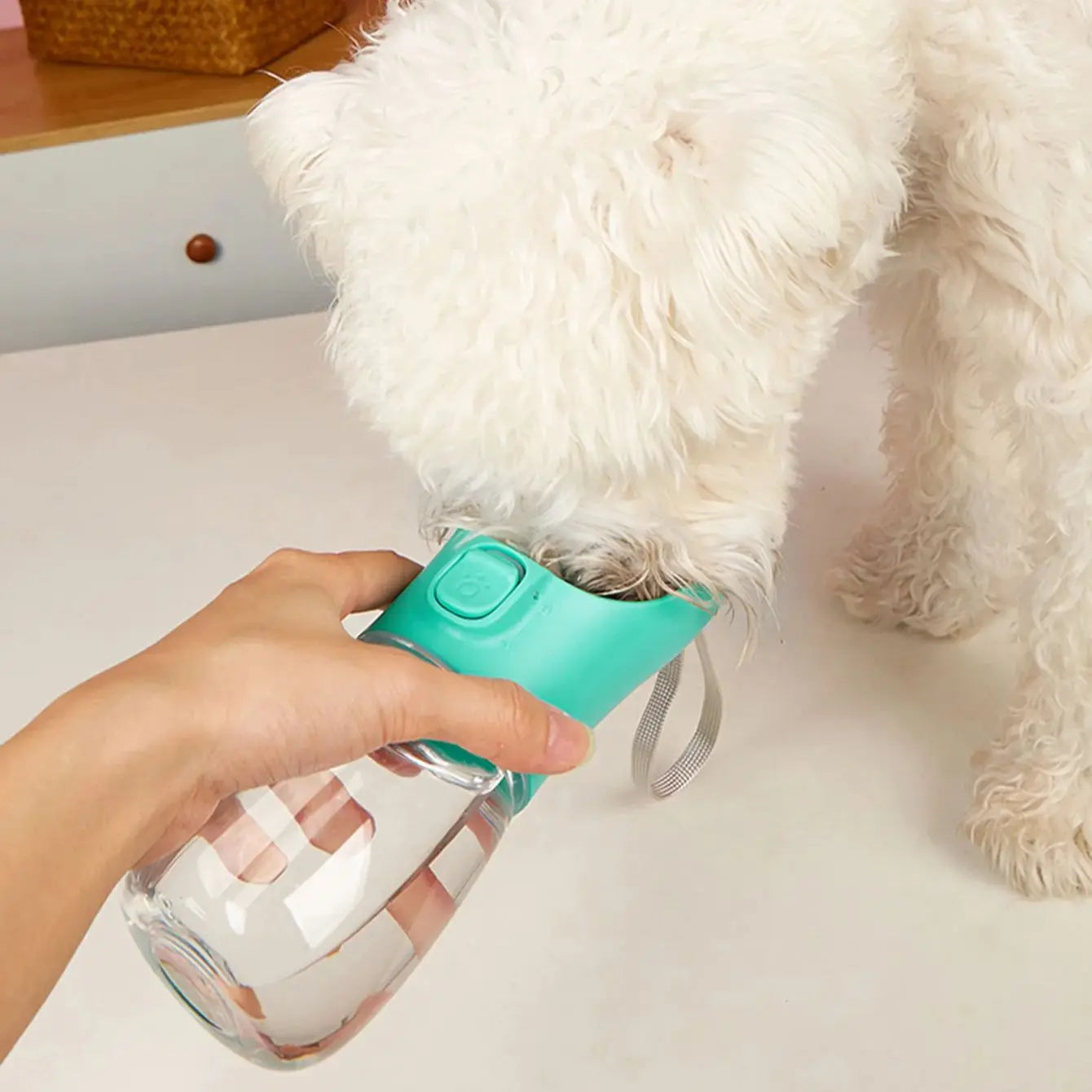 Portable Dog Water Bottle