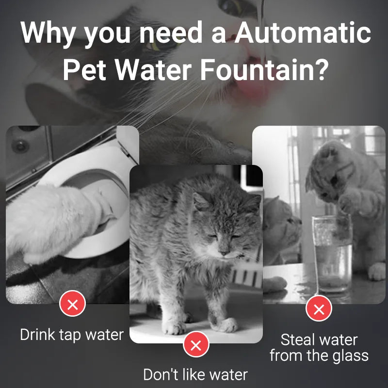 Automatic Pet Water Fountain – Smart Drinking Purifier