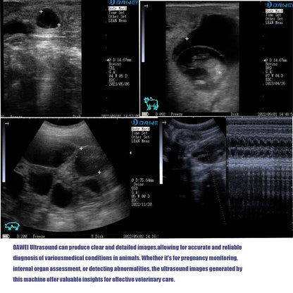 Portable Vet Ultrasound Scanner – Handheld Pregnancy Checker