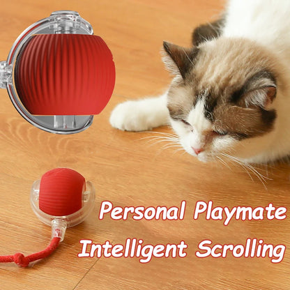 Interactive Cat Ball Toy – Rechargeable &amp; Automatic 