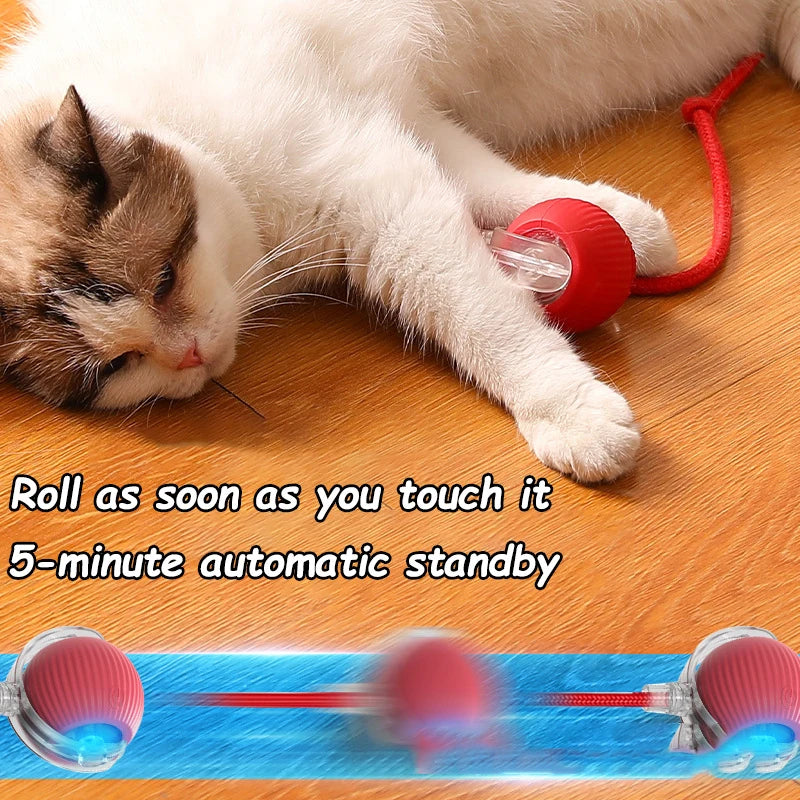 Interactive Cat Ball Toy – Rechargeable &amp; Automatic 